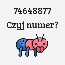 74648877