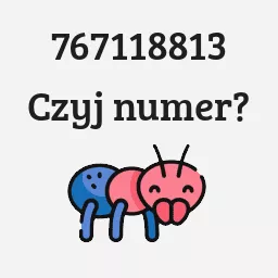 767118813