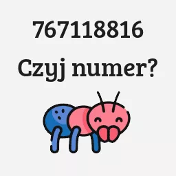 767118816