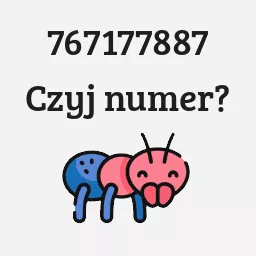 767177887