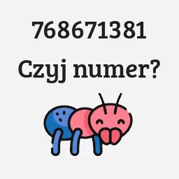 768671381