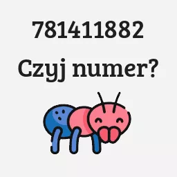 781411882