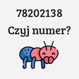 78202138