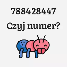 788428447