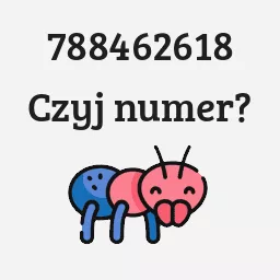 788462618