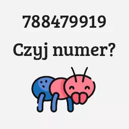 788479919