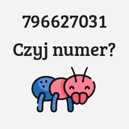 796627031