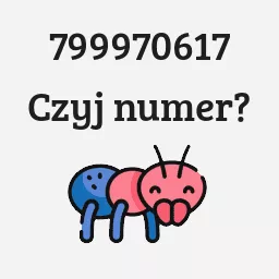 799970617