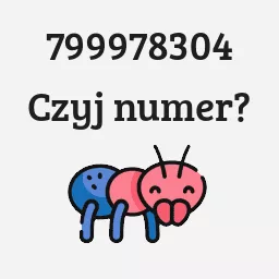 799978304