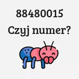 88480015