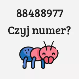 88488977