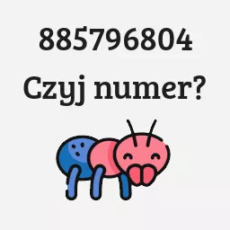 885796804